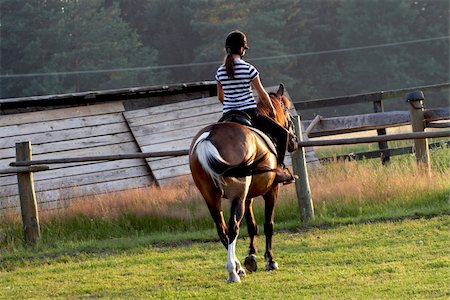 simsearch:400-04489243,k - horse riding Photographie de stock - Aubaine LD & Abonnement, Code: 400-03977803