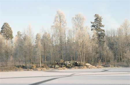 Winter in Norway Foto de stock - Royalty-Free Super Valor e Assinatura, Número: 400-03977842
