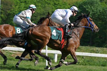 simsearch:700-00080122,k - horse and jockey at race-course up to the finish line Stock Photo - Budget Royalty-Free & Subscription, Code: 400-03978580