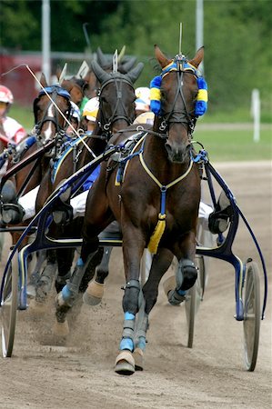 simsearch:400-03963631,k - Standardbred horses at race-course, up to the finish line Photographie de stock - Aubaine LD & Abonnement, Code: 400-03978581