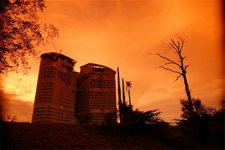 sunset, tree and modern building in the parks Stock Photo - Budget Royalty-Free & Subscription, Code: 400-03970227