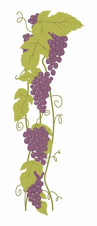 Bunch of Grapes. Design element Photographie de stock - Aubaine LD & Abonnement, Code: 400-03970686