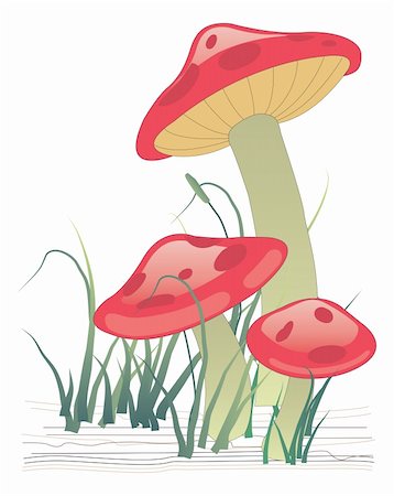 Three mushrooms on green grass. Vector illustration Photographie de stock - Aubaine LD & Abonnement, Code: 400-03970687