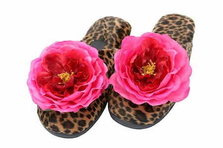 A tacky pair of leopard print bedroom slippers, isolated. Stock Photo - Budget Royalty-Free & Subscription, Code: 400-03971031