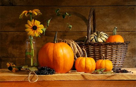 simsearch:400-05265311,k - Autumn still life with pumpkins and flowers Foto de stock - Super Valor sin royalties y Suscripción, Código: 400-03971385