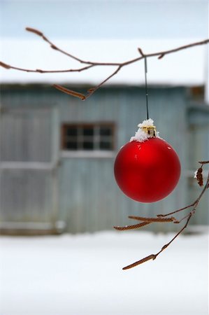 round ornament hanging of a tree - Christmas ball hanging on birch branch  in front of barn Stock Photo - Budget Royalty-Free & Subscription, Code: 400-03971393