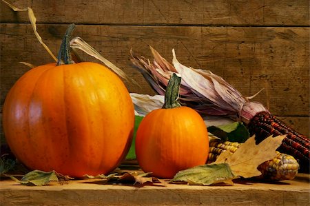 simsearch:400-05265311,k - Two pumpkins on the shelf with autumn corn Foto de stock - Super Valor sin royalties y Suscripción, Código: 400-03971413