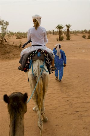 A camel trip through the Sahara desert, Morocco Stock Photo - Budget Royalty-Free & Subscription, Code: 400-03972991