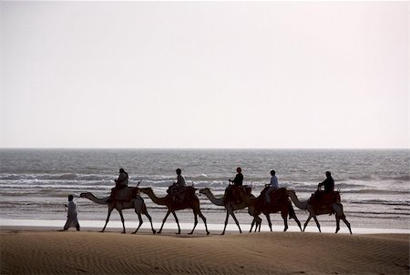 simsearch:400-04584886,k - Berber Camel train on the see at sunset, Morocco Stock Photo - Budget Royalty-Free & Subscription, Code: 400-03973009