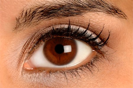 simsearch:400-05157843,k - closeup of a colorful brown eye Foto de stock - Super Valor sin royalties y Suscripción, Código: 400-03973155