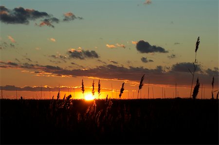 fields gold sunset - red yellow and orange bright colorful sky Stock Photo - Budget Royalty-Free & Subscription, Code: 400-03973935