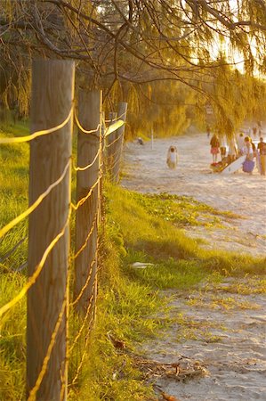 simsearch:400-04067899,k - Beach fence Foto de stock - Super Valor sin royalties y Suscripción, Código: 400-03985256