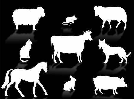 simsearch:400-08375195,k - Farm animals silhouettes with shadows on a white background Stockbilder - Microstock & Abonnement, Bildnummer: 400-03985337