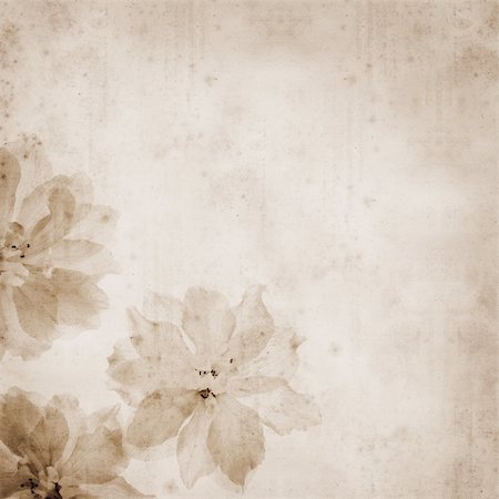 simsearch:400-05923102,k - old paper background with delphinium flowers "printed" in the corner Stockbilder - Microstock & Abonnement, Bildnummer: 400-03985984
