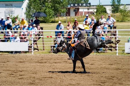 Bare back riding at the Herbert Rodeo, Saskatchewan Stock Photo - Budget Royalty-Free & Subscription, Code: 400-03986282