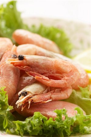 raw shrimps in the green salad Stock Photo - Budget Royalty-Free & Subscription, Code: 400-03987155