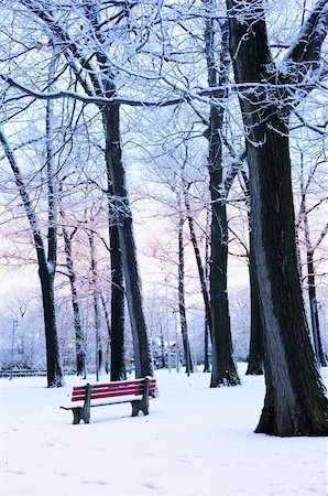 simsearch:400-03985276,k - Winter park covered with snow at dusk. Beach area, Toronto, Canada. Foto de stock - Super Valor sin royalties y Suscripción, Código: 400-03987373