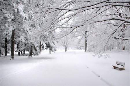 Park Bench in the winter in Connecticut Photographie de stock - Aubaine LD & Abonnement, Code: 400-03987932