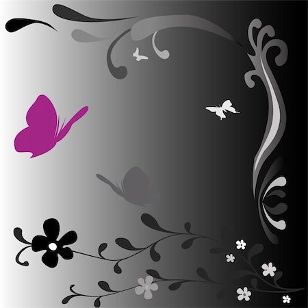 black and white fantasy design with butterflies Stock Photo - Budget Royalty-Free & Subscription, Code: 400-03988334