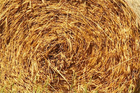 simsearch:400-05348198,k - Straw hay bales Stock Photo - Budget Royalty-Free & Subscription, Code: 400-03983926