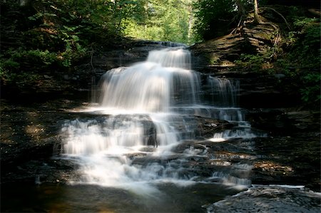 simsearch:400-06128436,k - Waterfall in Ricketts Glen State Park, Pennsylvania, United States Stock Photo - Budget Royalty-Free & Subscription, Code: 400-03995186