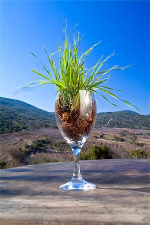 grass in wine glass against landscape Photographie de stock - Aubaine LD & Abonnement, Code: 400-03995866