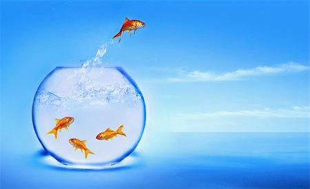 goldfish jumping out of the water Stock Photo - Budget Royalty-Free & Subscription, Code: 400-03996730