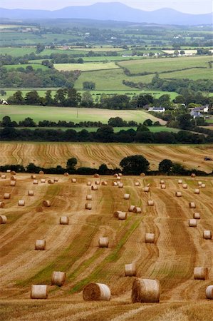 a scenic view in the irish countryside Foto de stock - Super Valor sin royalties y Suscripción, Código: 400-03996950