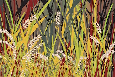 Illustration of paddy field about to harvest Foto de stock - Super Valor sin royalties y Suscripción, Código: 400-03997550