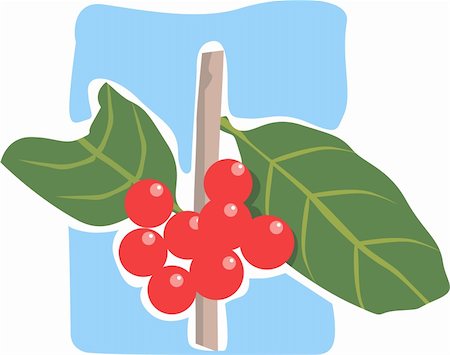 simsearch:400-04524035,k - Illustration of berries with branch Foto de stock - Super Valor sin royalties y Suscripción, Código: 400-03998010