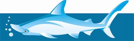 simsearch:400-08553170,k - Illustration of a shark underwater Stock Photo - Budget Royalty-Free & Subscription, Code: 400-03998986