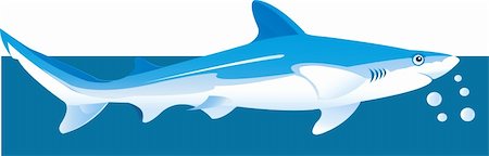 simsearch:400-08553170,k - Illustration of a shark underwater Stock Photo - Budget Royalty-Free & Subscription, Code: 400-03998987