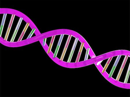 simsearch:400-08409196,k - rendering of dna helix Stock Photo - Budget Royalty-Free & Subscription, Code: 400-03999153