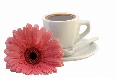 cup of coffee with a gerbera daisy isolated with Path Foto de stock - Super Valor sin royalties y Suscripción, Código: 400-03990974