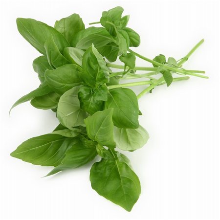 simsearch:400-04418942,k - green basil leaves on white background, minimal shadow underneath Stockbilder - Microstock & Abonnement, Bildnummer: 400-03991211