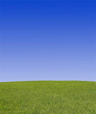 peaceful grassland scenic Stock Photo - Budget Royalty-Free & Subscription, Code: 400-03992118