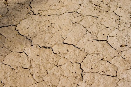 parched - cracks in the mud of the Kalahari Stock Photo - Budget Royalty-Free & Subscription, Code: 400-03992126