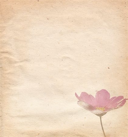 decaying antique books - old and worn paper flower background frame Stock Photo - Budget Royalty-Free & Subscription, Code: 400-03992235