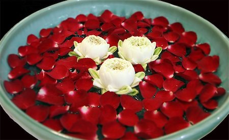 simsearch:400-05282502,k - Flowers from Thailand at a day spa - health and beauty. Photographie de stock - Aubaine LD & Abonnement, Code: 400-03992610