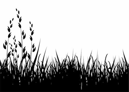 simsearch:400-04595369,k - grass vector illustration / horizontal / black silhouette Stockbilder - Microstock & Abonnement, Bildnummer: 400-03993549