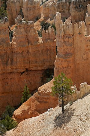 escarpement - Parc National de Bryce Canyon, Utah, USA Photographie de stock - Premium Libres de Droits, Code: 600-04223528