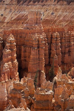 escarpement - Parc National de Bryce Canyon, Utah, USA Photographie de stock - Premium Libres de Droits, Code: 600-04223530