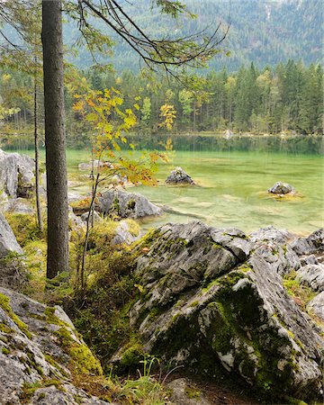 Lake Hintersee, Berchtesgaden National Park, Bavaria, Germany Stock Photo - Premium Royalty-Free, Code: 600-04424935