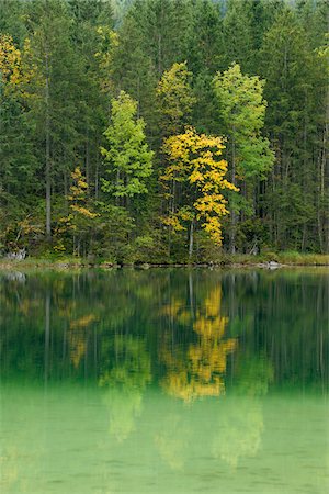 Lake Hintersee in Autumn, Berchtesgaden National Park, Bavaria, Germany Stock Photo - Premium Royalty-Free, Code: 600-04424938