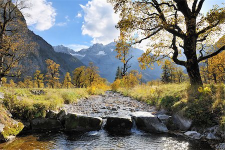 Mountain Stream in Autumn, Grosser Ahornboden, Karwendel, Tyrol, Austria Foto de stock - Sin royalties Premium, Código: 600-04424968