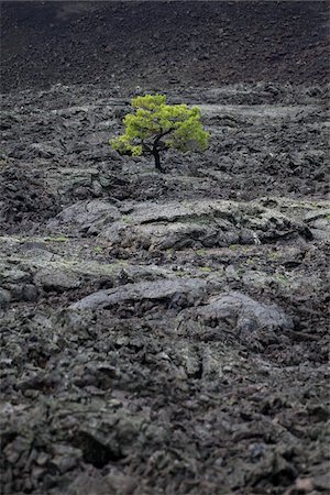 rock texture - Craters of the Moon National Monument and Preserve, Idaho, USA Stock Photo - Premium Royalty-Free, Code: 600-04425087