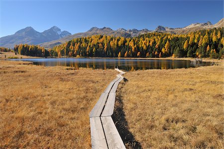 Boardwalk in Autumn, Lake Staz, St. Moritz, Canton of Graubunden, Switzerland Stock Photo - Premium Royalty-Free, Code: 600-05524298