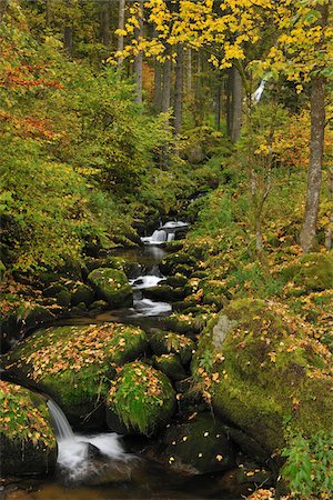 Forest Stream, Triberg im Schwarzwald, Forêt-Noire-Baar, forêt noire, Bade-Wurtemberg, Allemagne Photographie de stock - Premium Libres de Droits, Code: 600-05524505