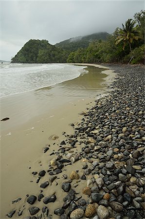 queensland - Emmagen Beach, Parc National de Daintree, Queensland, Australie Photographie de stock - Premium Libres de Droits, Code: 600-05609637