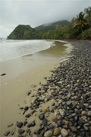 simsearch:6126-08644372,k - Emmagen Beach, Daintree National Park, Queensland, Australia Foto de stock - Sin royalties Premium, Código: 600-05609637